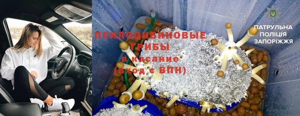 каннабис Новозыбков