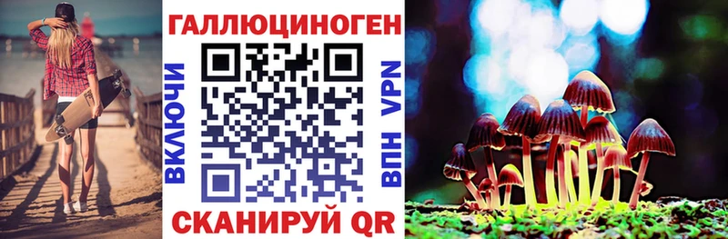 купить наркоту  Сысерть  Галлюциногенные грибы Psilocybe 